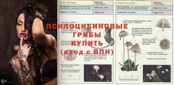 ПСИЛОЦИБИНОВЫЕ ГРИБЫ Алексеевка