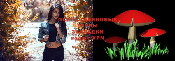 эйфоретик Алзамай