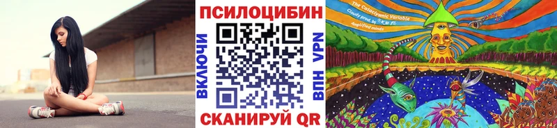 Галлюциногенные грибы MAGIC MUSHROOMS  где купить   Камбарка 